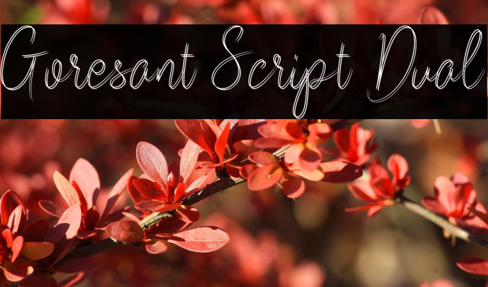 Goresant Script Dual Example 2