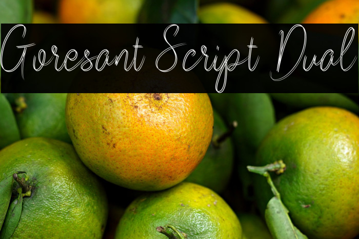 Goresant Script Dual Example 3