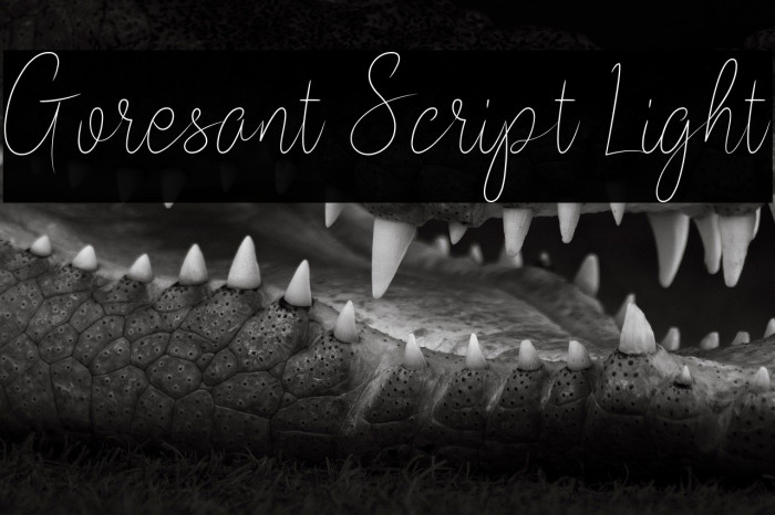 Goresant Script Light Example 1