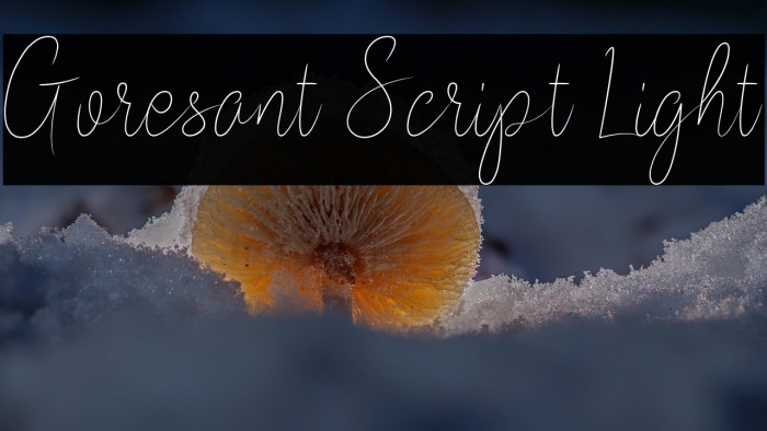 Goresant Script Light Example 2