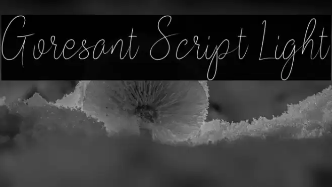 Goresant Script Light Font examples