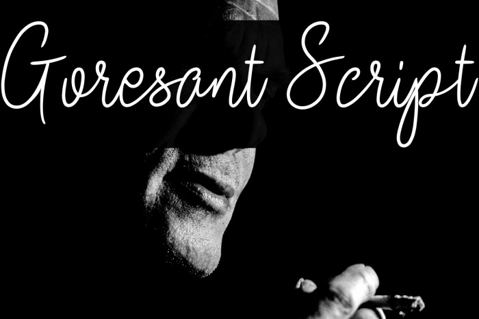 Goresant Script Example 2