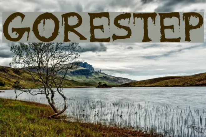 Gorestep Example 2