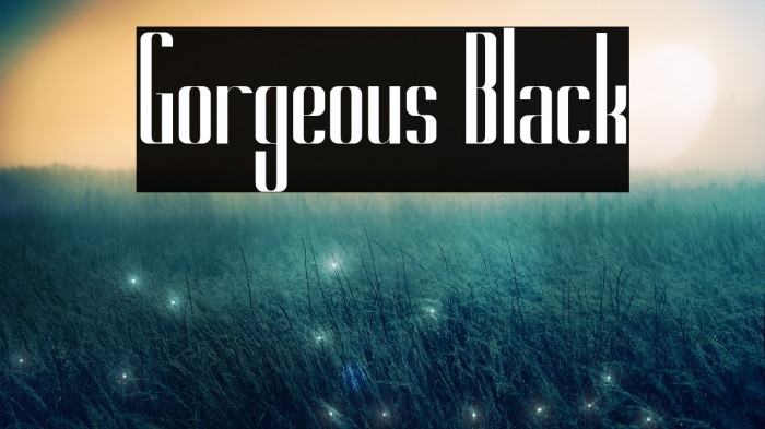 Gorgeous Black Example 1