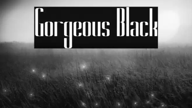 Gorgeous Black Font examples