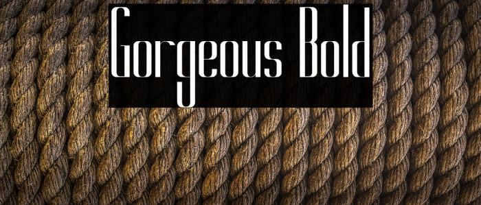 Gorgeous Bold Example 1