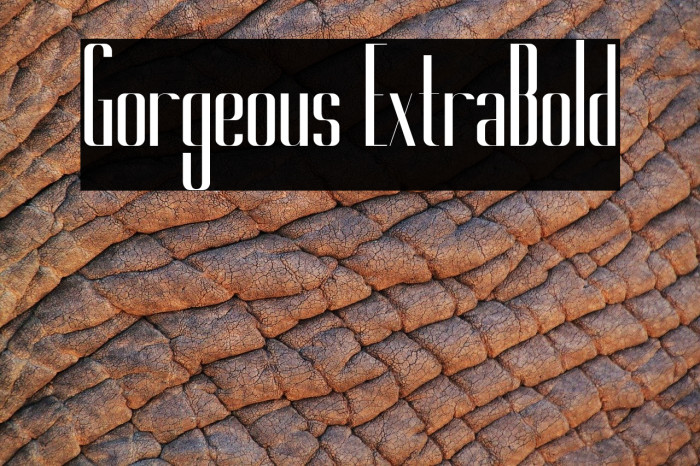 Gorgeous ExtraBold Example 1