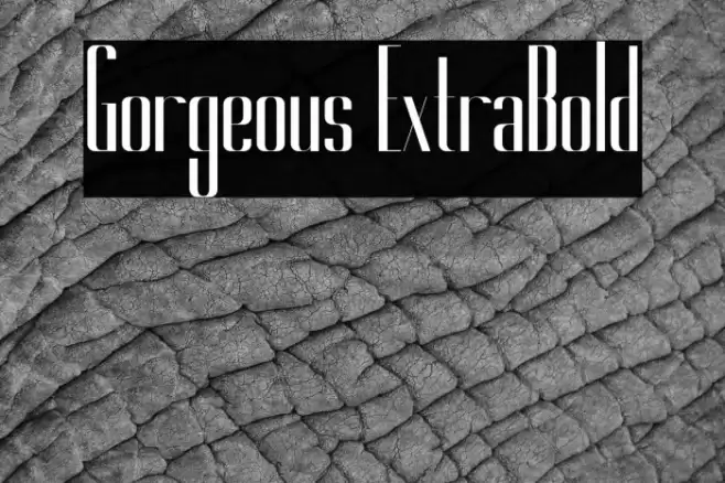 Gorgeous ExtraBold Font examples