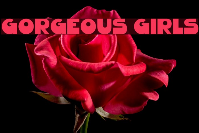 Gorgeous Girls Font examples