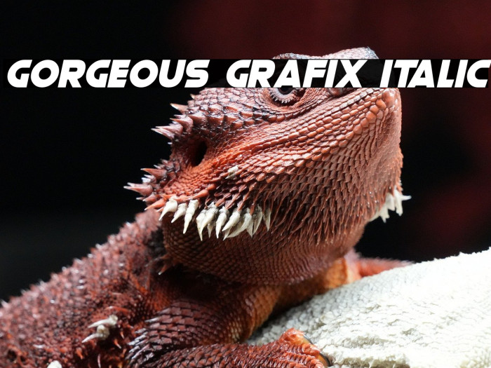 Gorgeous Grafix Italic Example 1