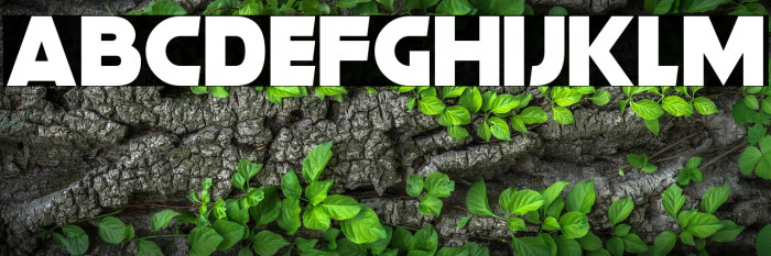 Gorgeous Grafix Example 3