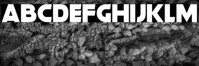 Gorgeous Grafix Font examples