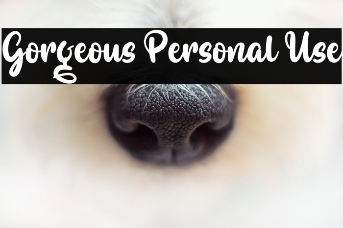 Gorgeous Personal Use Example 1