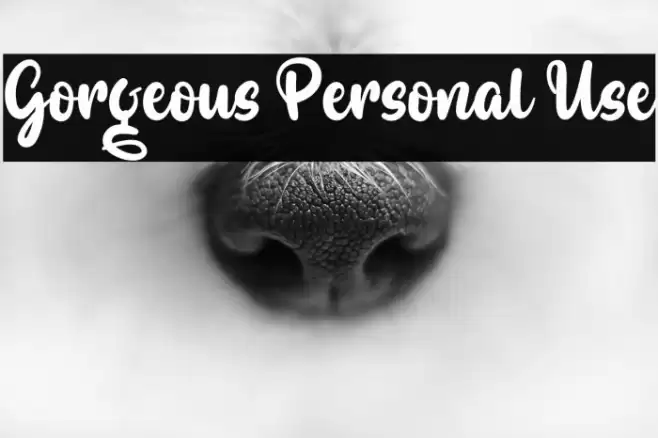 Gorgeous Personal Use Font examples