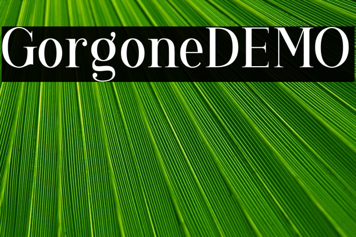 GorgoneDEMO Example 1