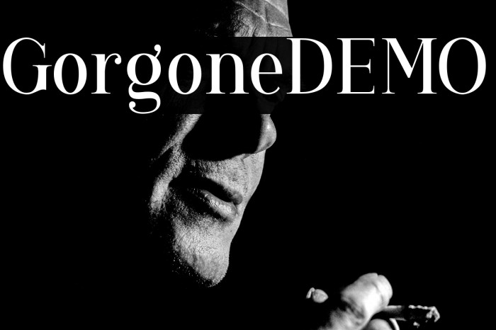 GorgoneDEMO Example 3