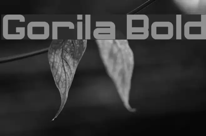 Gorila Bold Font examples