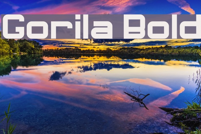 Gorila Bold Example 2