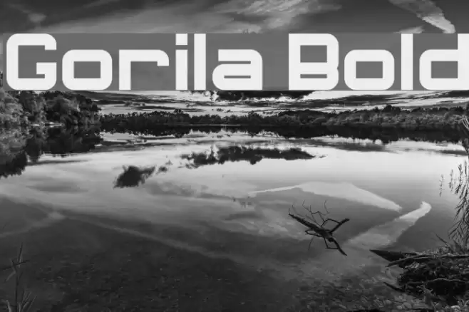 Gorila Bold Font examples