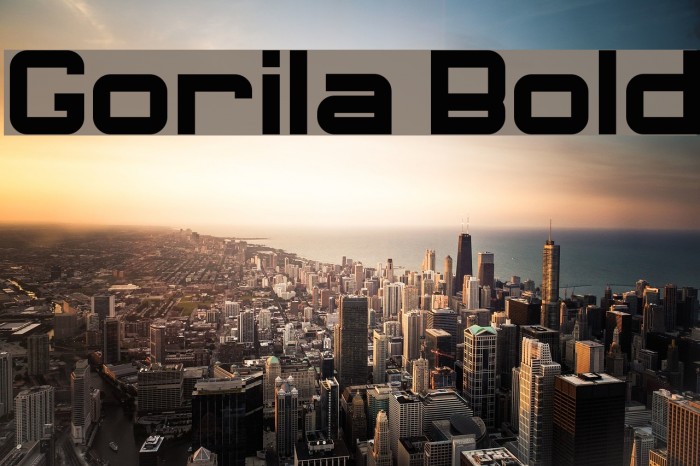 Gorila Bold Example 3