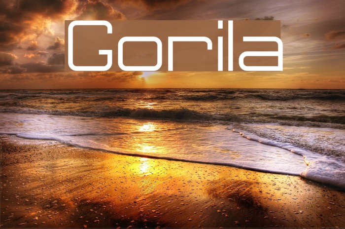 Gorila Font examples