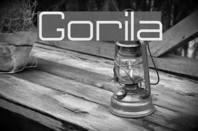 Gorila Font examples