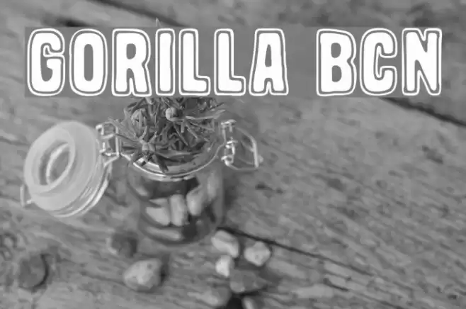 Gorilla BCN Font examples