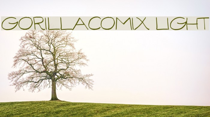 GorillaComix-Light Font examples