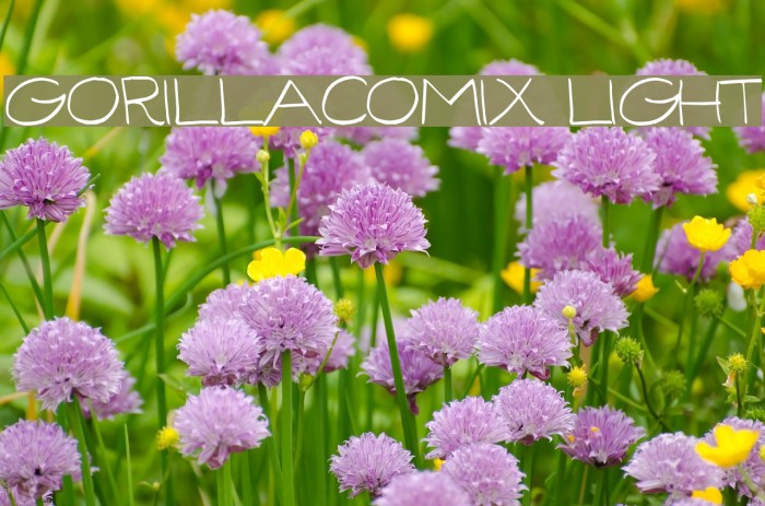 GorillaComix-Light Font examples