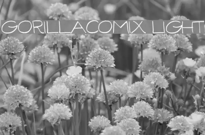 GorillaComix-Light フォント examples