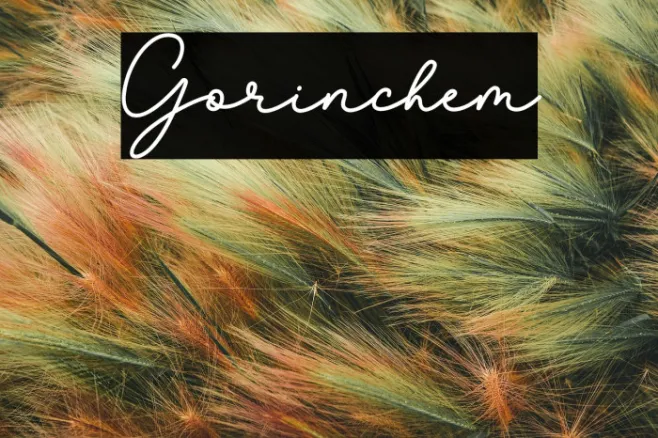 Gorinchem Example 2