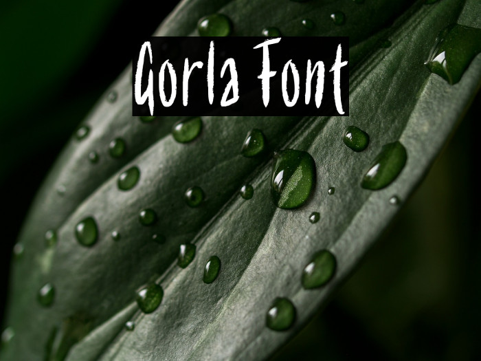 Gorla Example 3