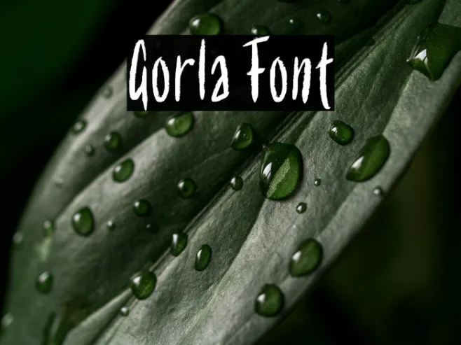 Gorla Example 3
