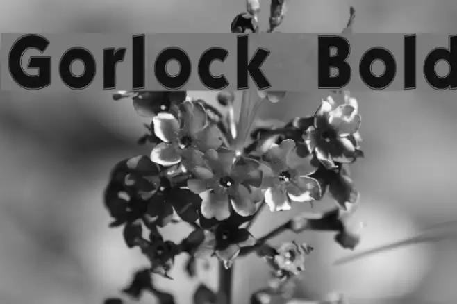 Gorlock  Bold Font examples