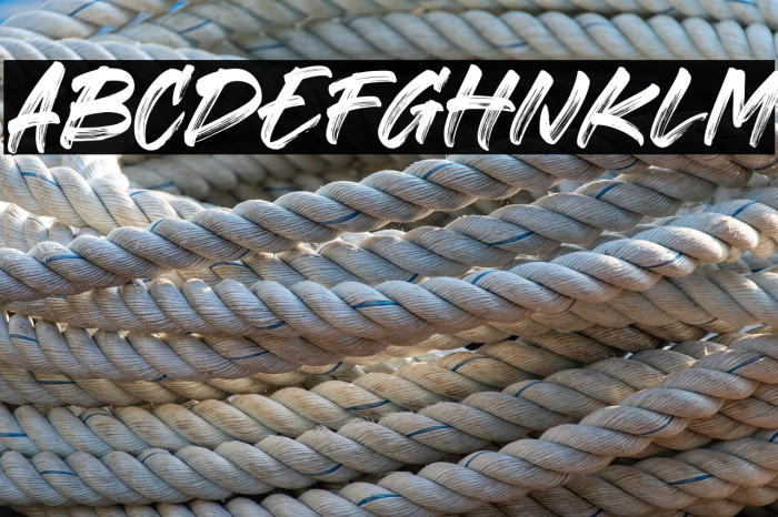 Gorock Brush Regular Example 3