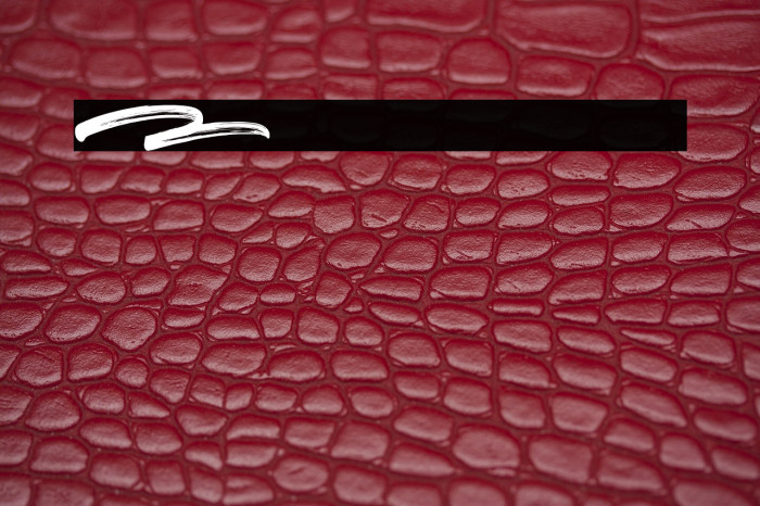 Gorock Brush Swashes Example 1