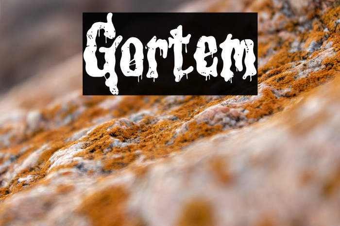 Gortem Font examples