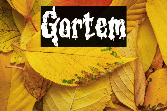 Gortem Font examples