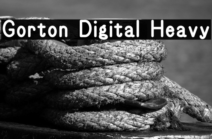 Gorton Digital Heavy Example 1