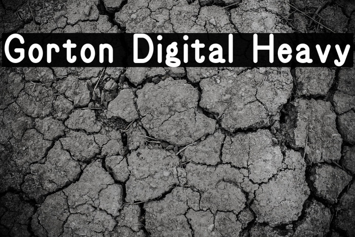 Gorton Digital Heavy Example 3