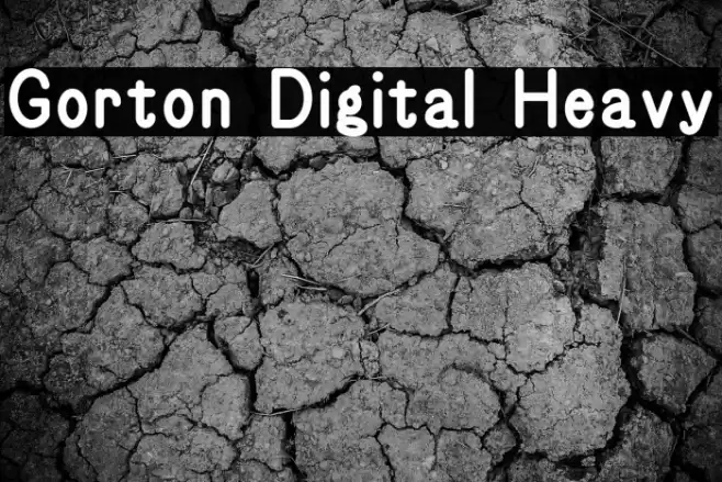 Gorton Digital Heavy फ़ॉन्ट examples