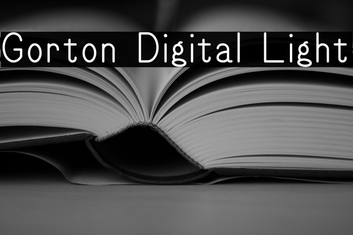 Gorton Digital Light Example 1