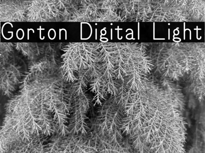 Gorton Digital Light Font examples