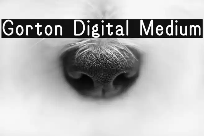 Gorton Digital Medium Fuentes examples