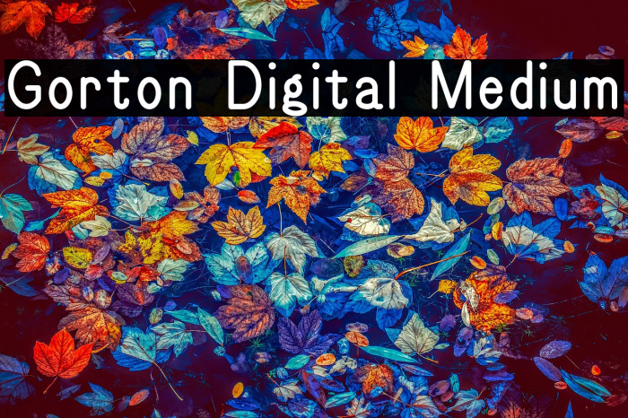 Gorton Digital Medium Example 3