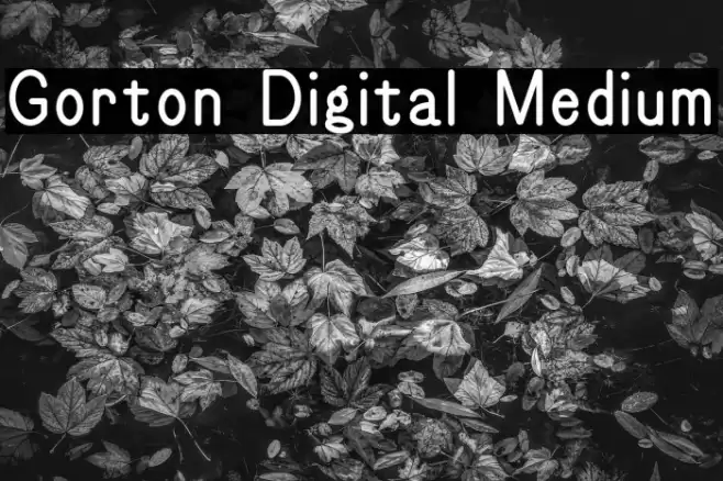 Gorton Digital Medium Fuentes examples