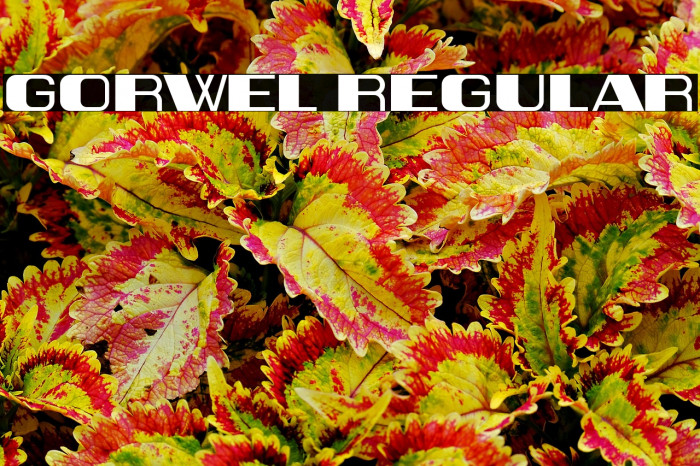 Gorwel Regular Example 2