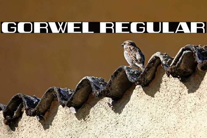 Gorwel Regular Example 3