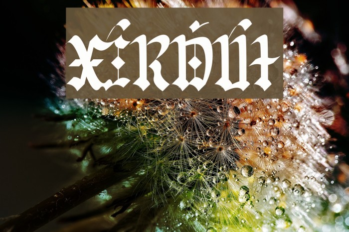 Gorwelion Font examples