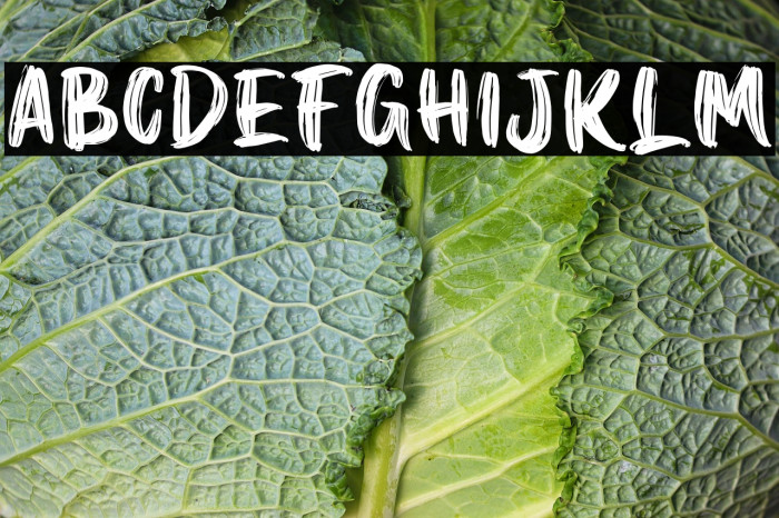 Gosber Brush Example 2